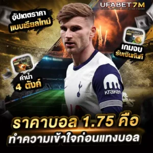 ราคาบอล-1.75-คือ ลูกครึ่งควบสอง